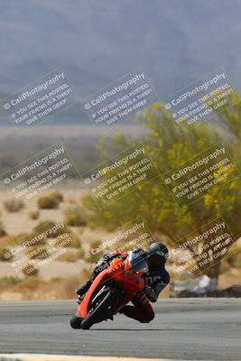 media/Apr-10-2022-SoCal Trackdays (Sun) [[f104b12566]]/Turn 5 Tree of Life (1040am)/